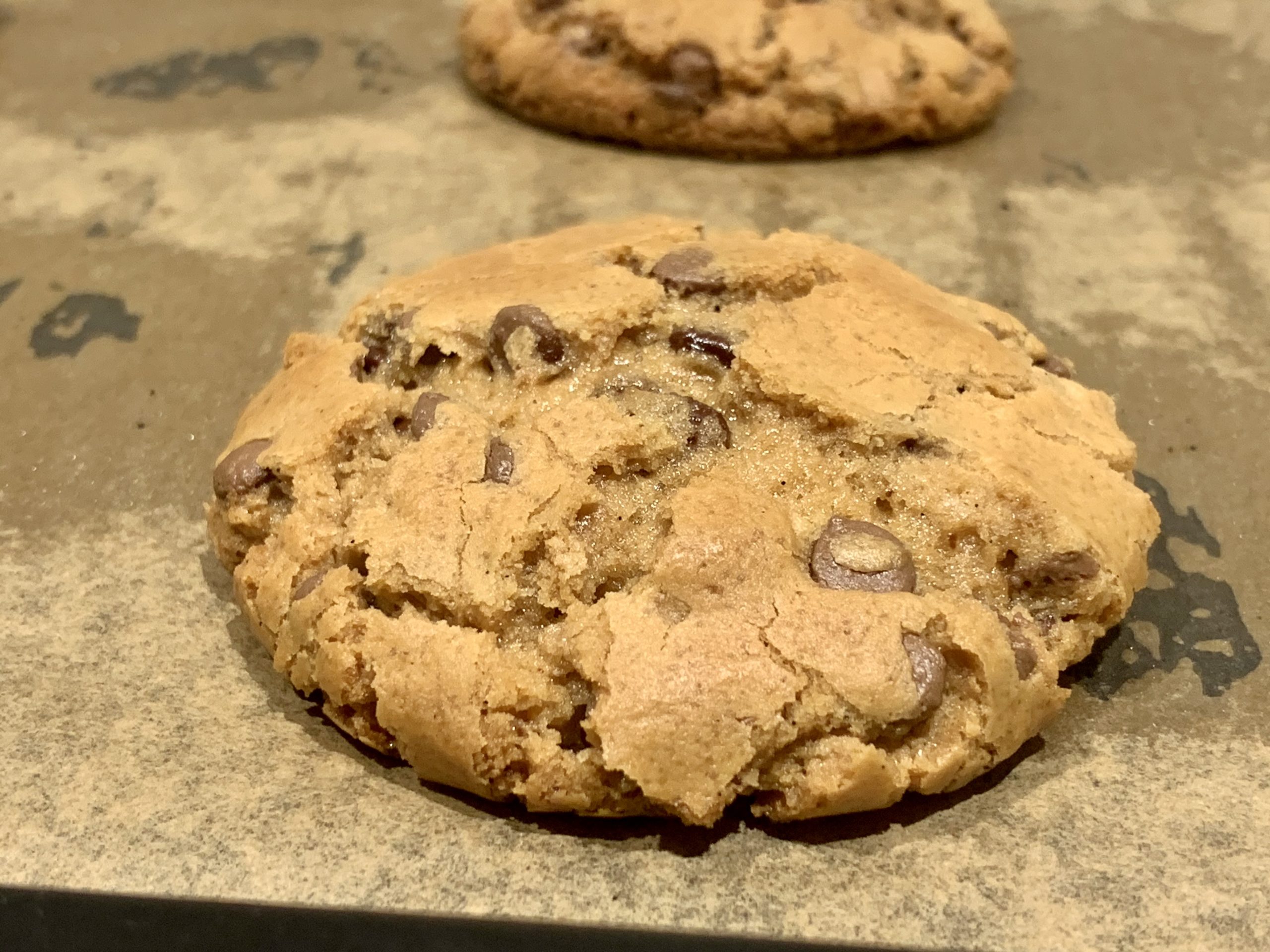 chocolate chip cookies